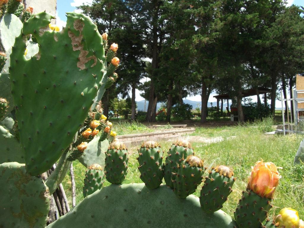 Agriturismo Mandriato Santa Luce Eksteriør billede
